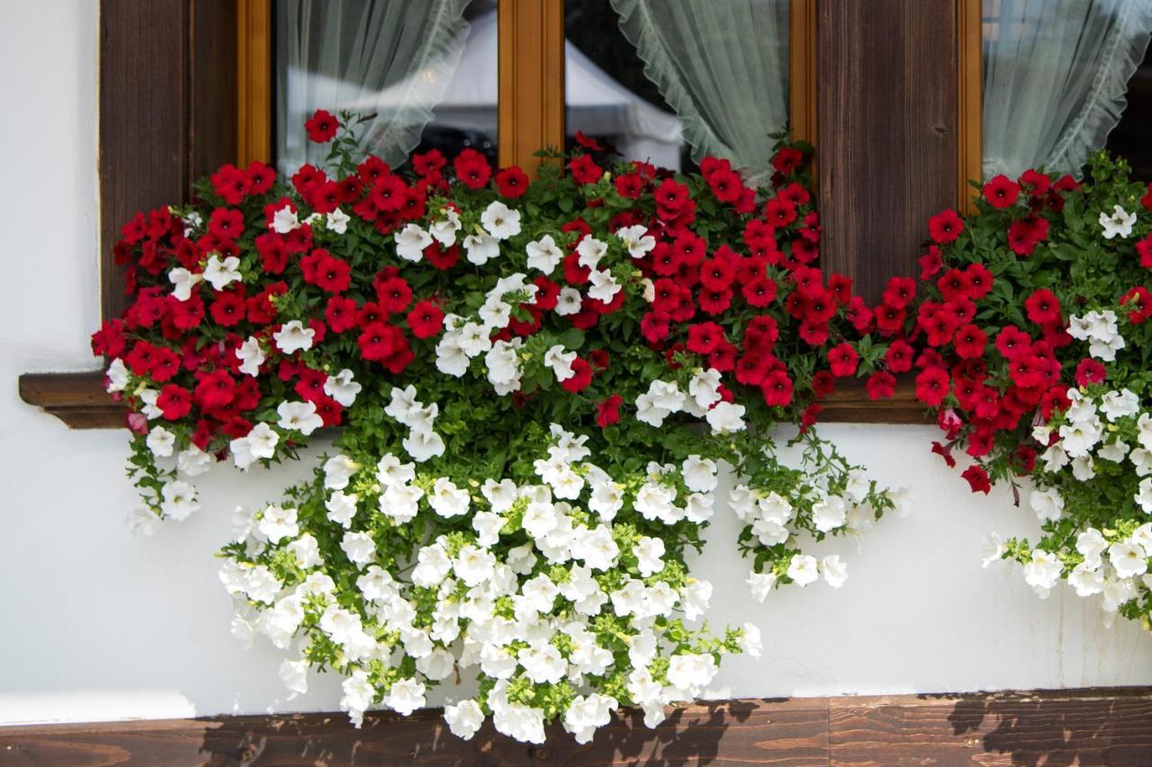 Hotel Alphorn Gstaad Exterior foto